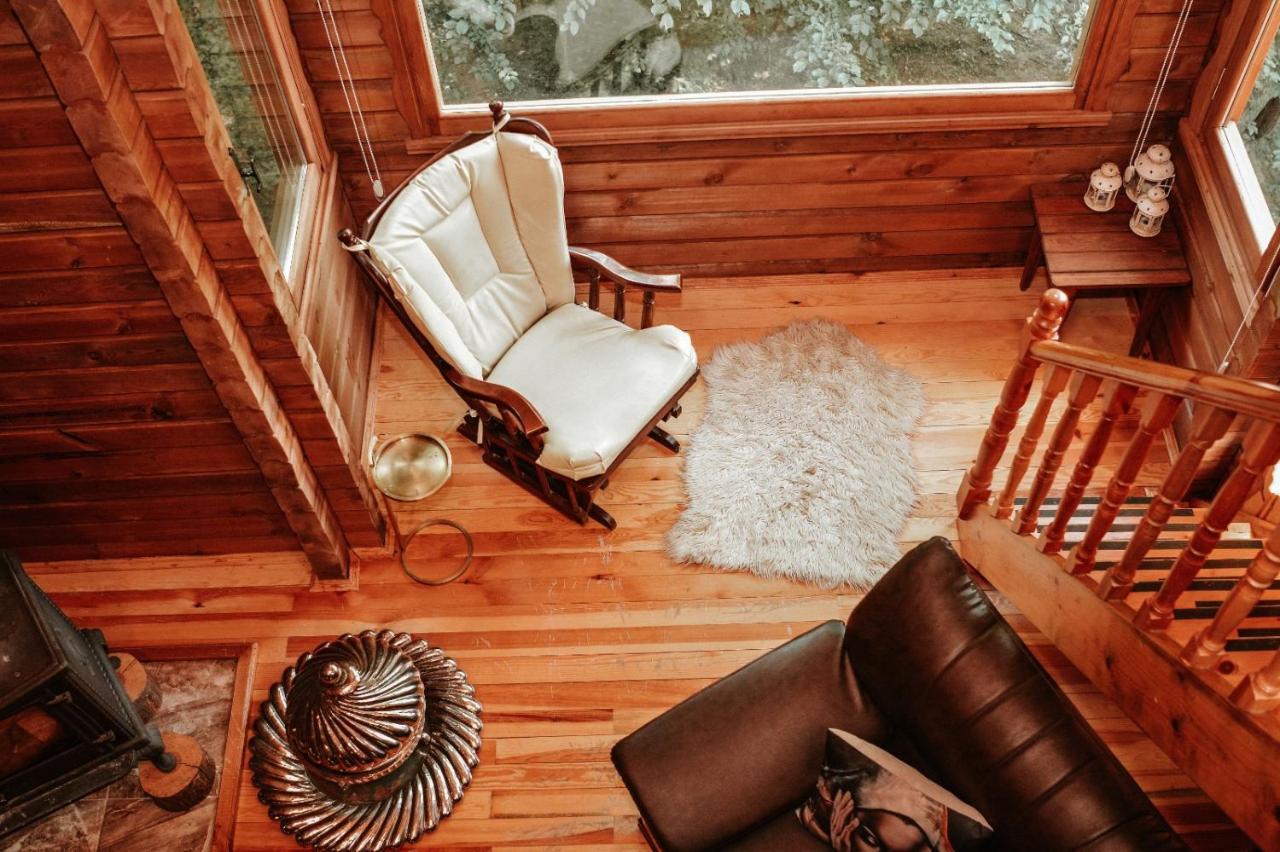 Abant Korudam Bungalov Butik Otel Extérieur photo