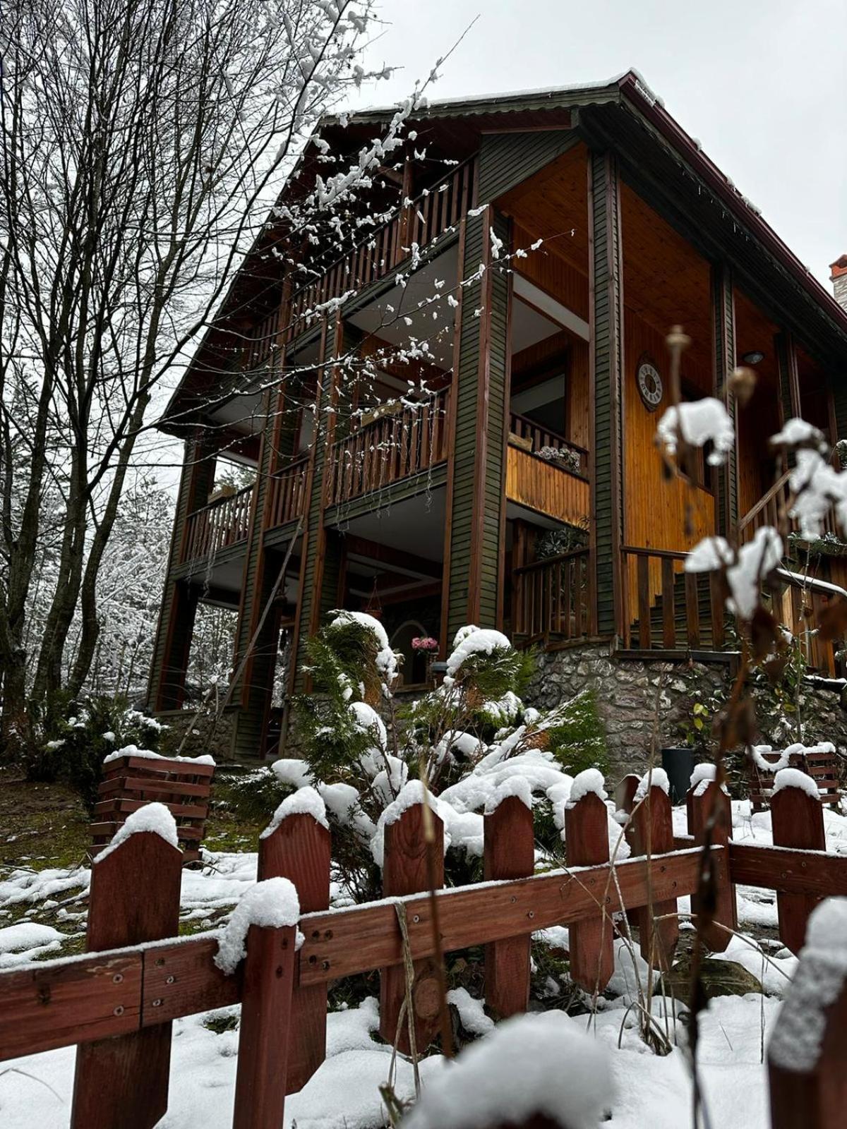 Abant Korudam Bungalov Butik Otel Extérieur photo